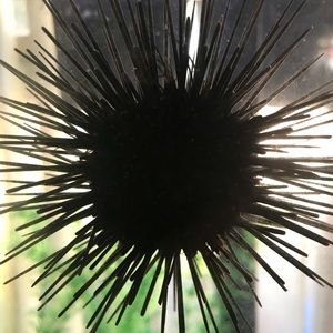 Meet your Posher, Margie